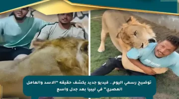 ⚡️توضيح رسمي اليوم.. فيديو جديد يكشف حقيقة “الأسد والعامل المصري” في ليبيا بعد جدل واسع